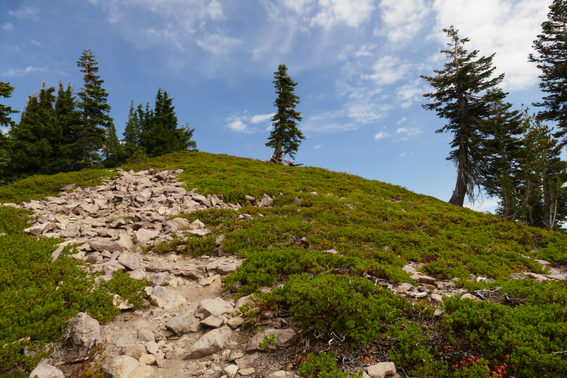 Mount Shasta - Gray Butte