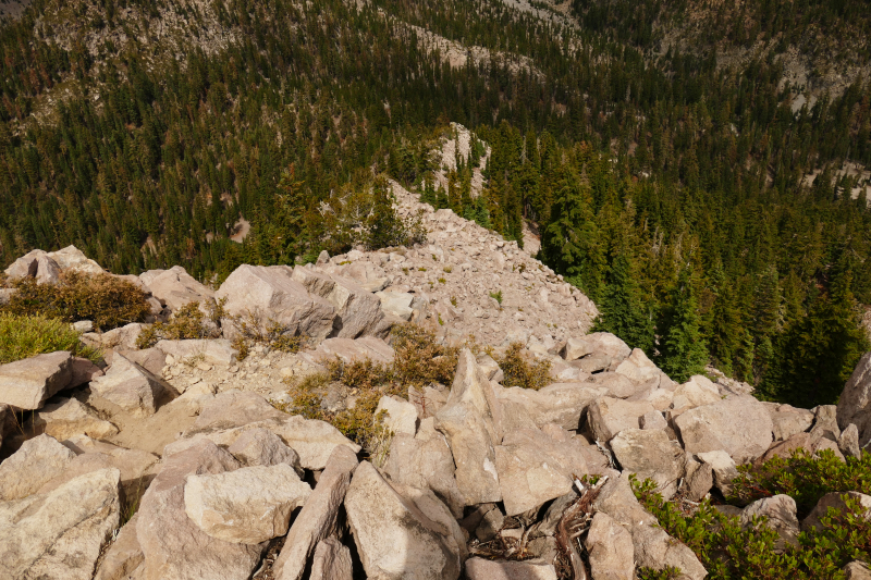 Mount Shasta - Gray Butte