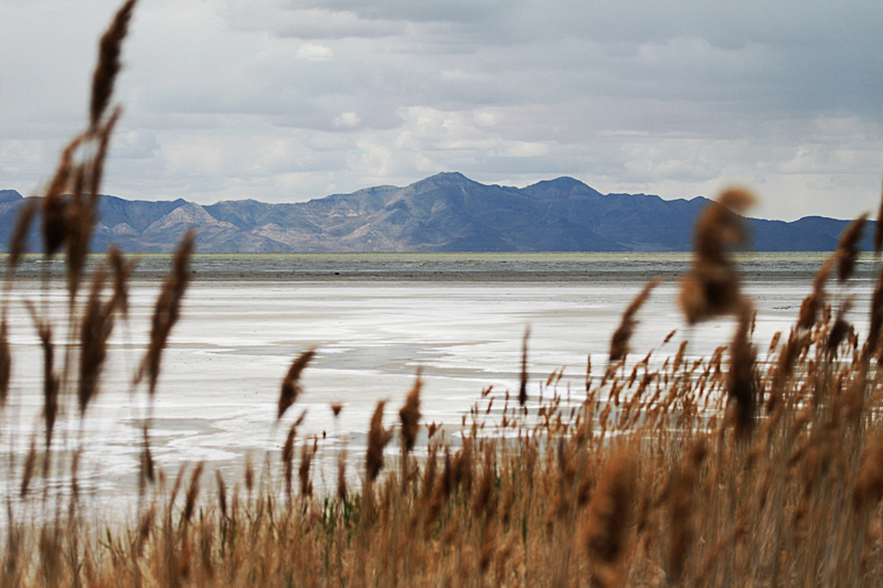 Great Salt Lake