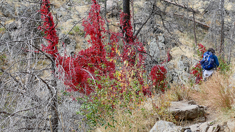 Grey Rock Mountain Poudre Canyon