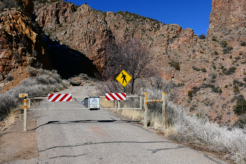 Guadalupe Canyon