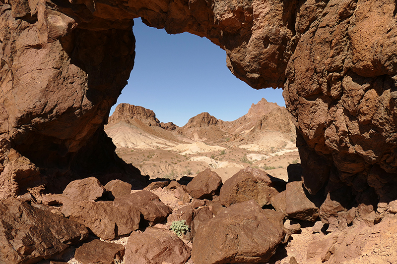 Tree Arch Hill Chocolate Mountains