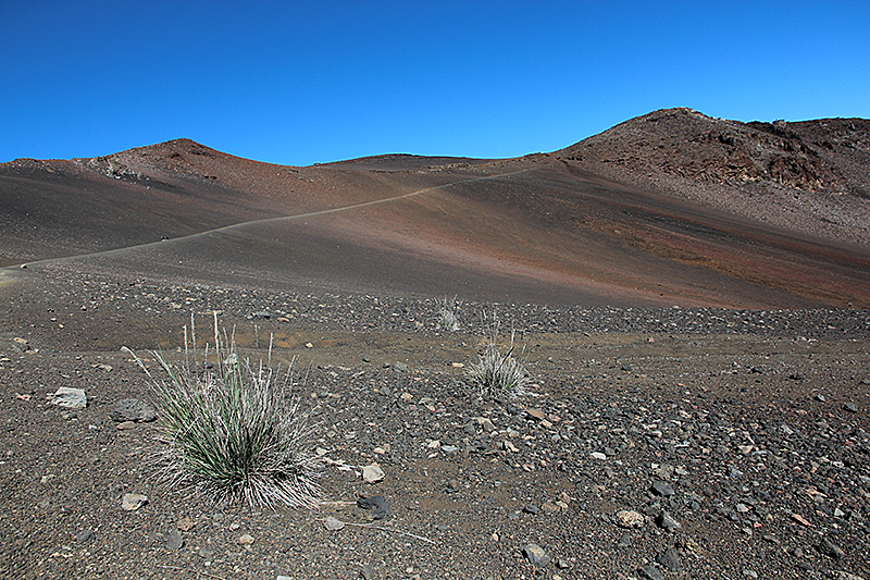 Haleakala National Park [Maui - Hawaii]