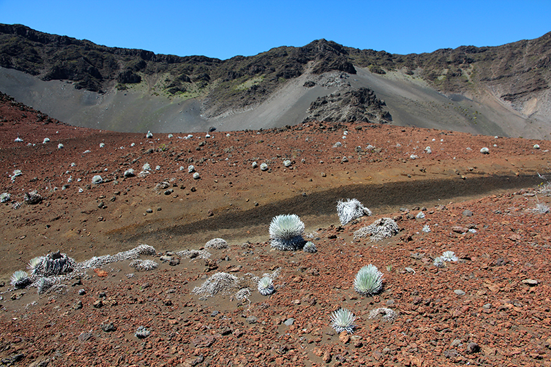 Haleakala National Park [Maui - Hawaii]