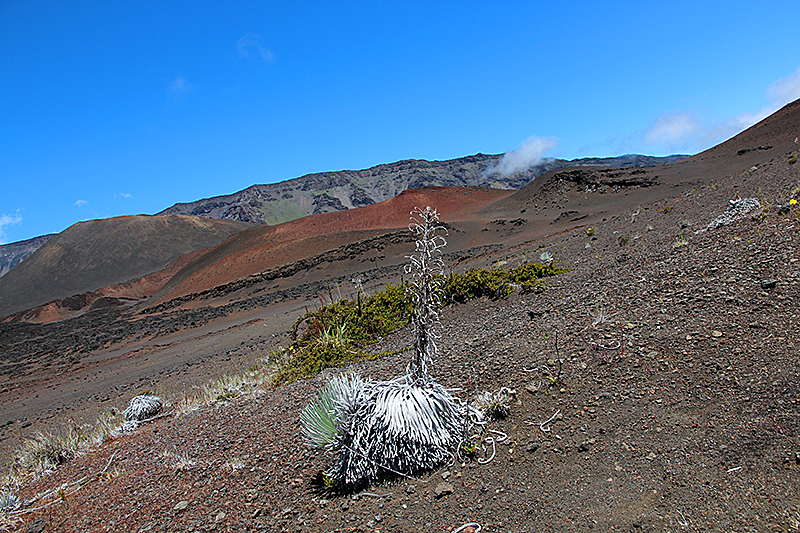 Haleakala National Park [Maui - Hawaii]