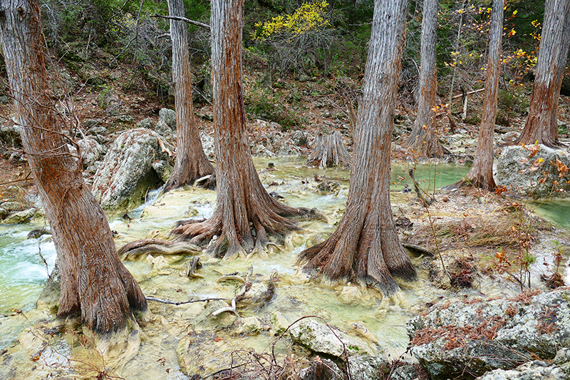 USA Hiking Database: Bilder der Wanderung - Pictures of the hike