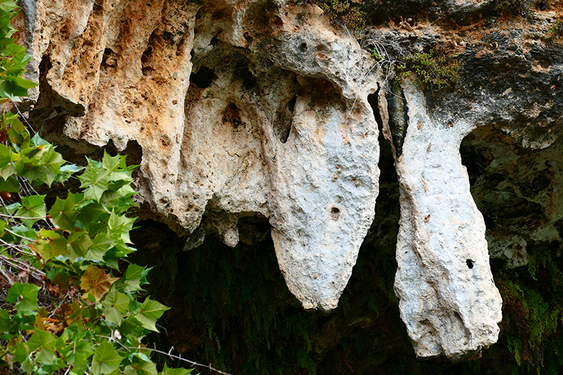 Hamilton Pool Preserve