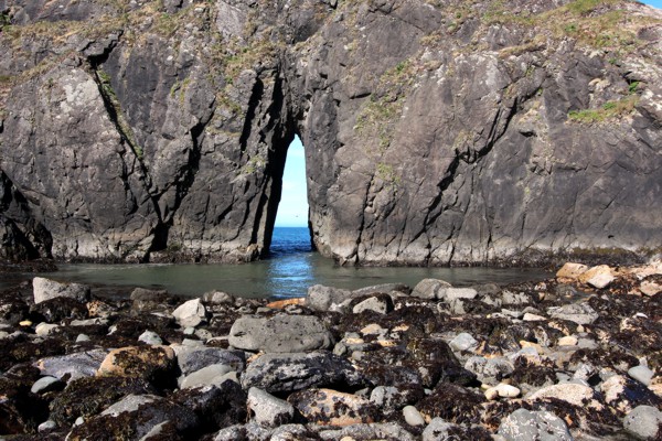 Arch Rock aka. Harris Beach Arch [V20-37]