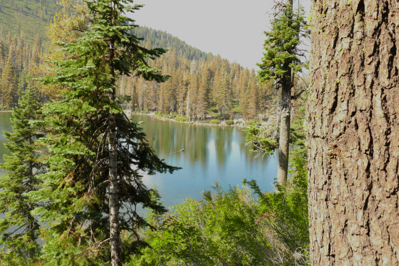 Heart and Castle Lake [Shasta Trinity National Forest]