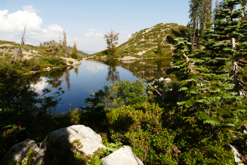 Heart and Castle Lake [Shasta Trinity National Forest]