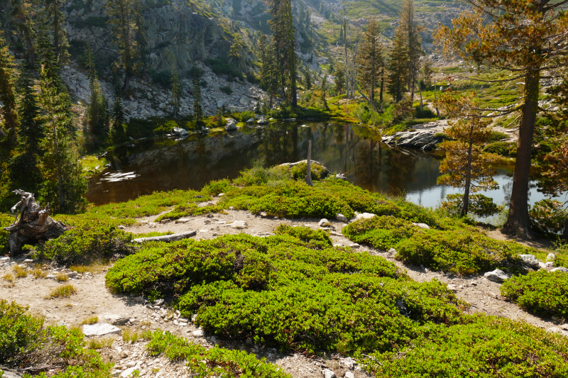 Heart and Castle Lake [Shasta Trinity National Forest]