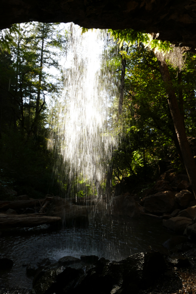 Bild Hedge Creek Falls [Shasta Trinity National Forest]