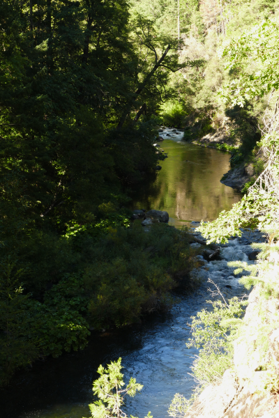 Bild Hedge Creek Falls [Shasta Trinity National Forest]