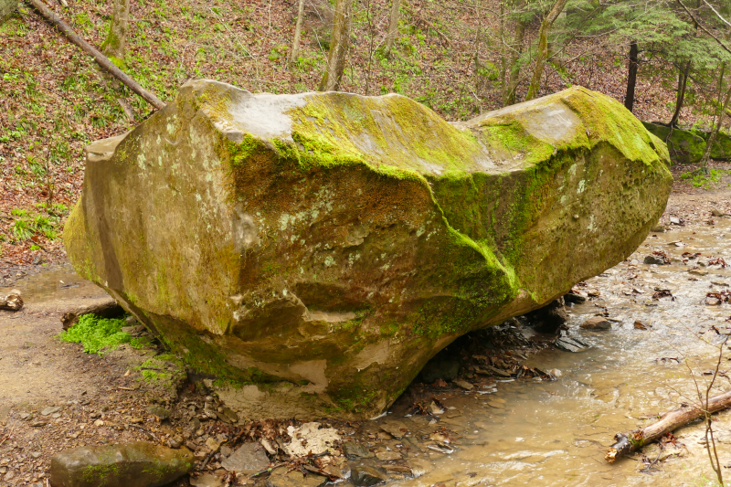 Hemlock Cliffs Scenic Trail [Hoosier National Forest]