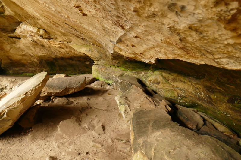 Hemlock Cliffs [Hoosier National Forest]