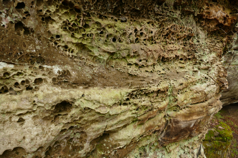 Hemlock Cliffs [Hoosier National Forest]