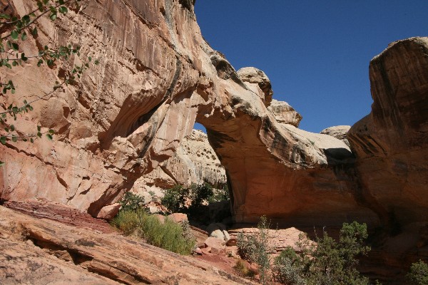 Hickman Natural Bridge