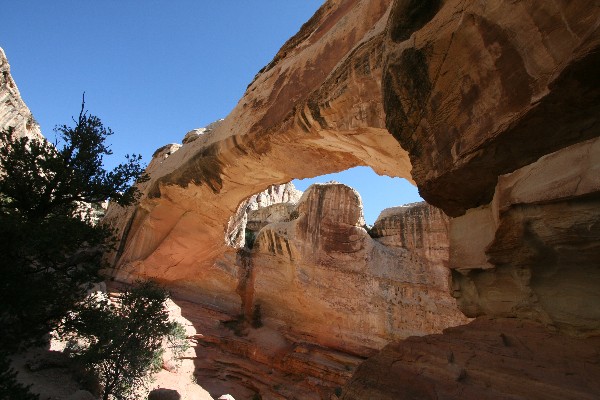 Hickman Natural Bridge