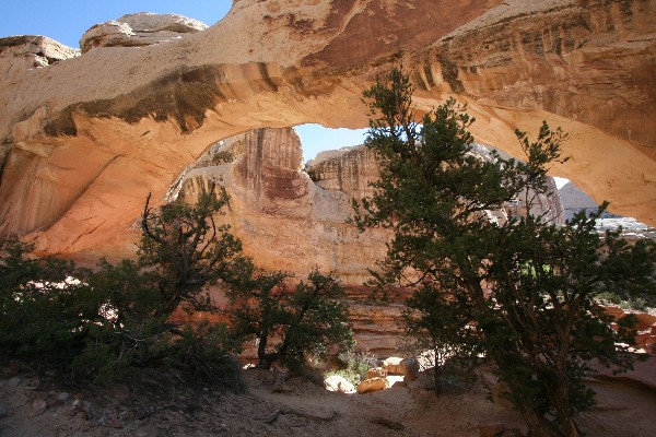 USA Hiking Database: Bilder der Wanderung - Pictures of the hike