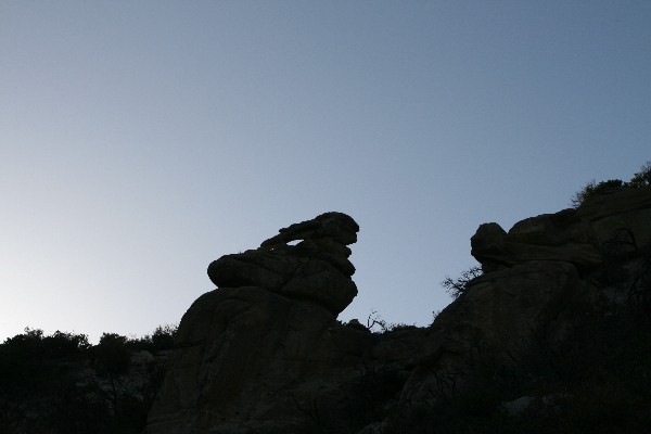 Hiking Shoe Arch