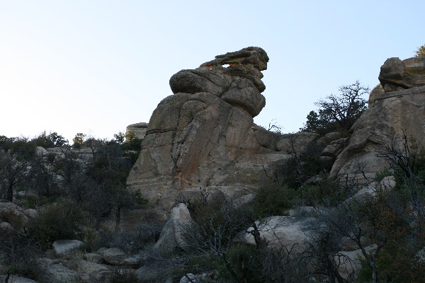 Hiking Shoe Arch