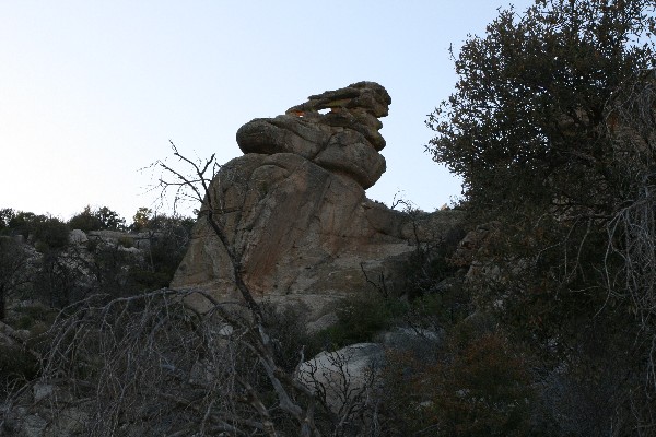 Hiking Shoe Arch