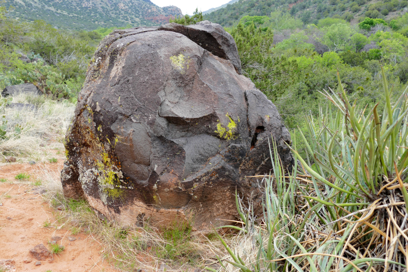 Historic Bell Trail [Coconino National Forest]