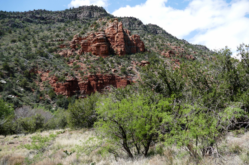 Historic Bell Trail [Coconino National Forest]