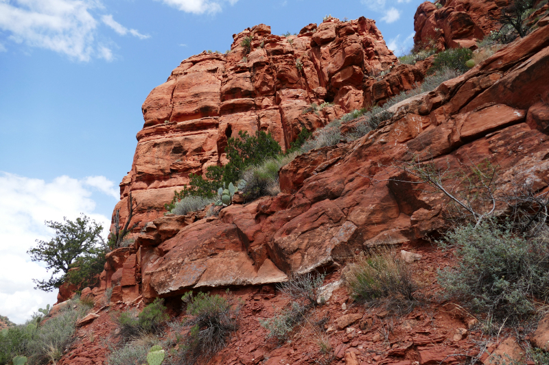 Historic Bell Trail [Coconino National Forest]