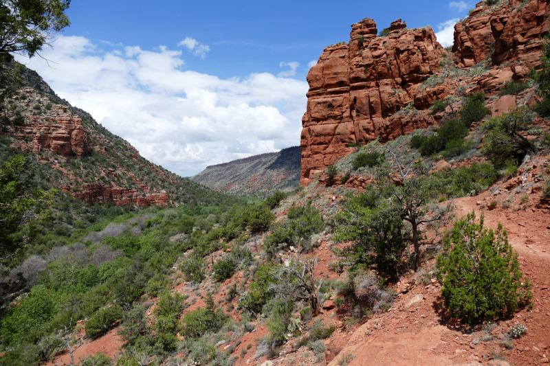 Historic Bell Trail [Coconino National Forest]
