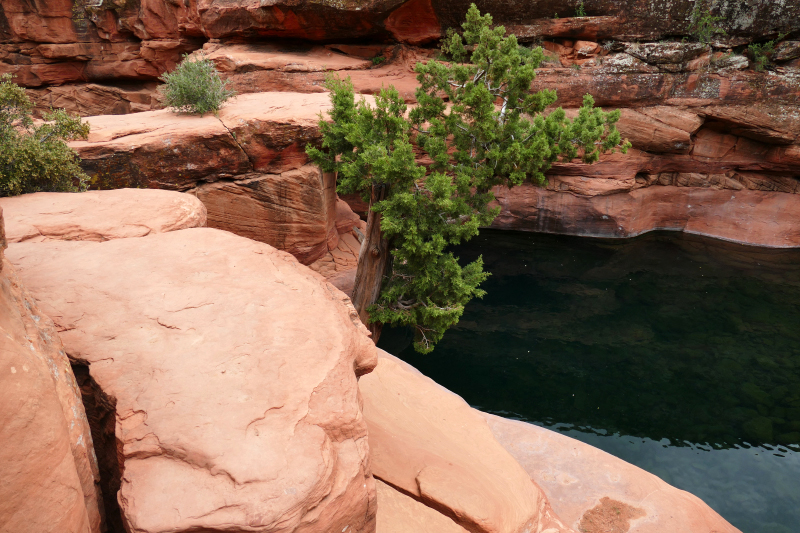 Historic Bell Trail [Coconino National Forest]