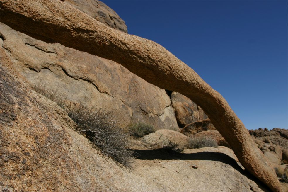 Hitching Post Arch