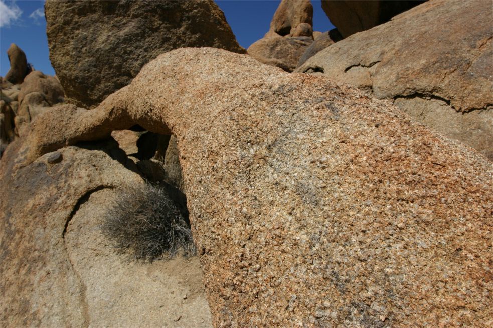 Hitching Post Arch