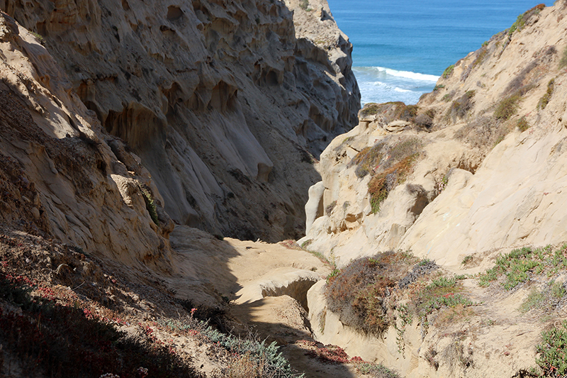 Ho Chi Minh Canyon [La Jolla Bay San Diego]