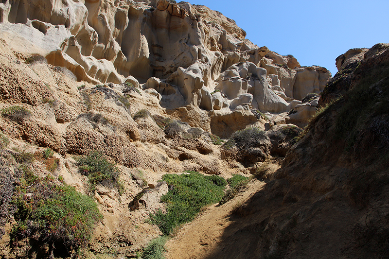 Ho Chi Minh Canyon [La Jolla Bay San Diego]