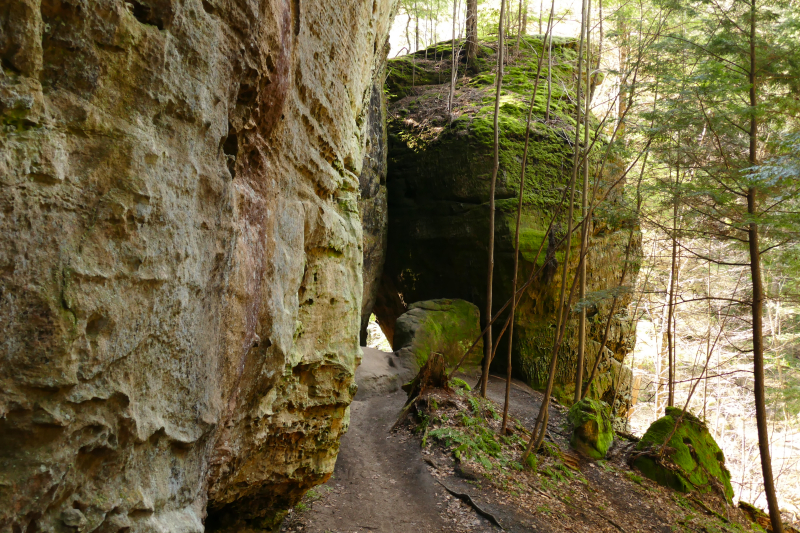 Hocking Hills State Park [Ash Cave, Upper Falls, Lower Falls, Cedar Falls, Old Man's Cave