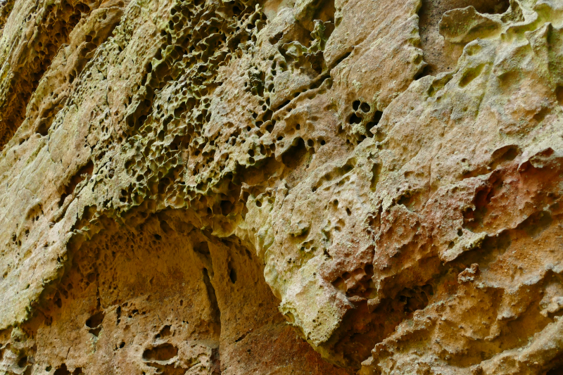 Hocking Hills State Park [Ash Cave, Upper Falls, Lower Falls, Cedar Falls, Old Man's Cave