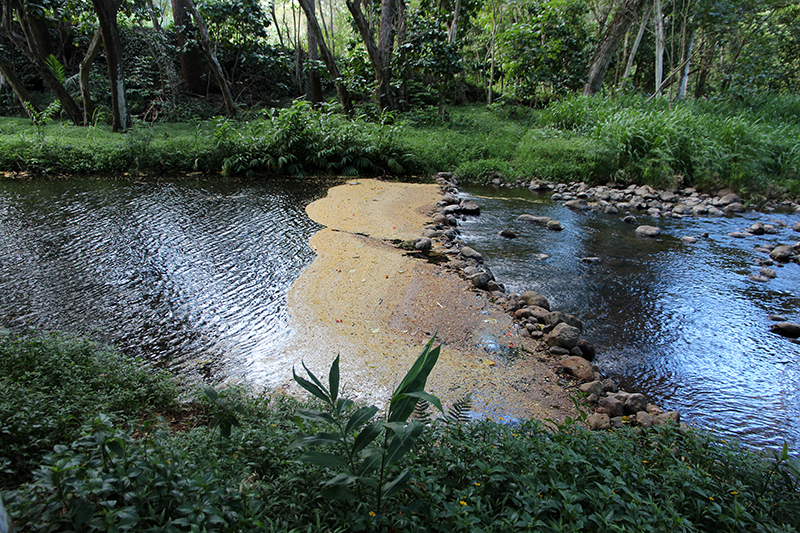 Ho'opi'i Falls