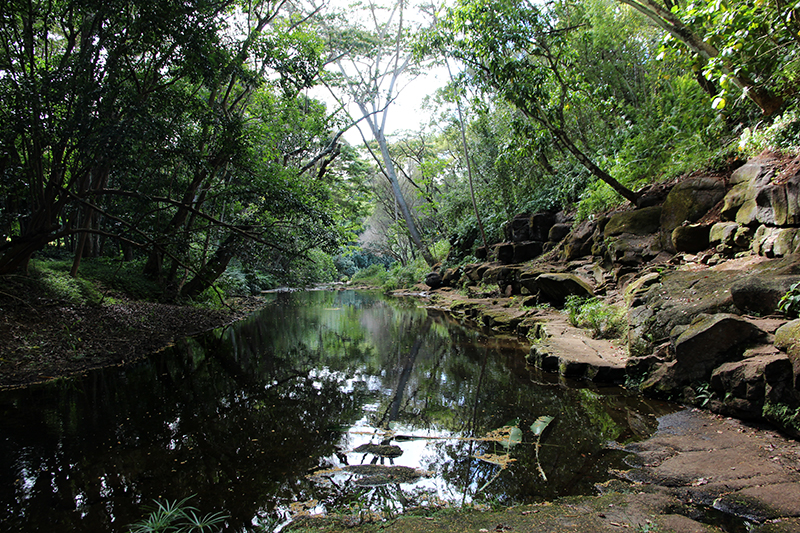 Ho'opi'i Falls