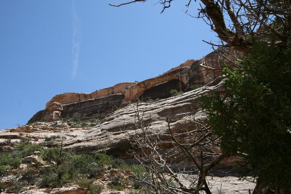 Horsecollar Ruin Arch