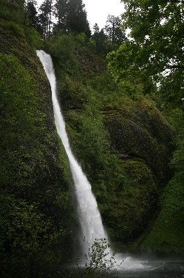 Horsetail Falls