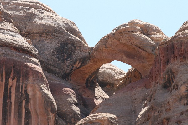 Humingbird Arch