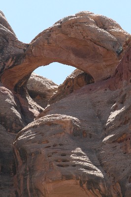 Humingbird Arch