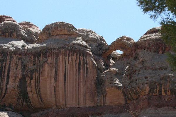 Lavender Canyon