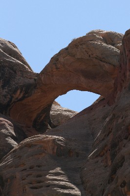 Humingbird Arch