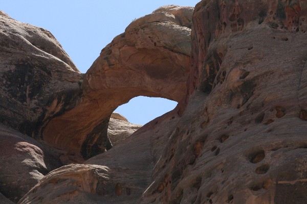 Humingbird Arch