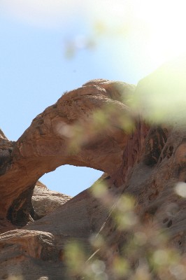 Humingbird Arch