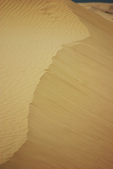 Imperial Sand Dunes aka. Algodones Sand Dunes