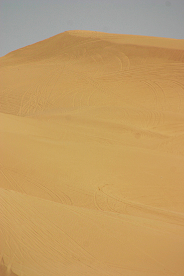 Imperial Sand Dunes aka. Algodones Sand Dunes
