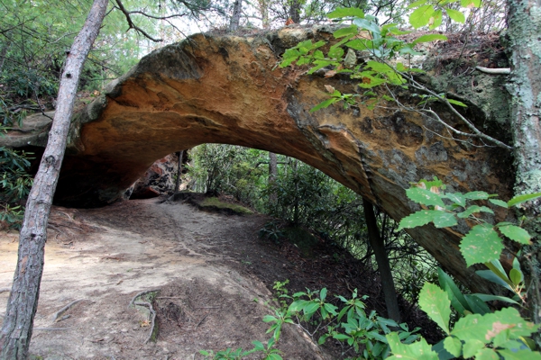 Indian Arch